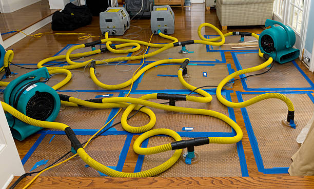 Professional Structural Drying And Dehumidification technician working in Henderson, MN